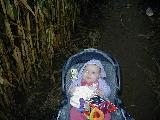 Corn Maze - Jefferson, October 16th, 2004